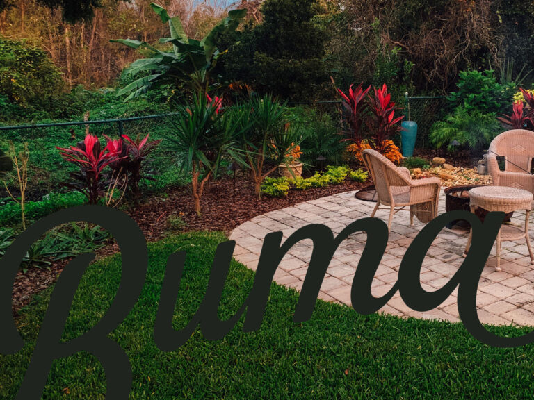 How to Prepare Your Yard for Fall: Seasonal Landscaping Tips